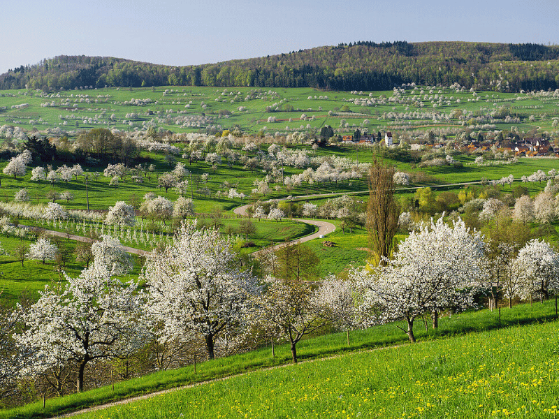 emigrar a suiza